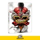 قیمت Street Fighter V - PlayStation 4 EDITION STEEL BOOK
